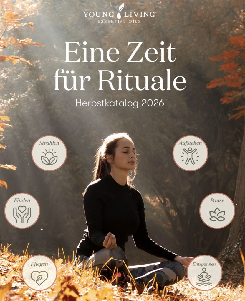 Geschenkekatalog Sep 2026